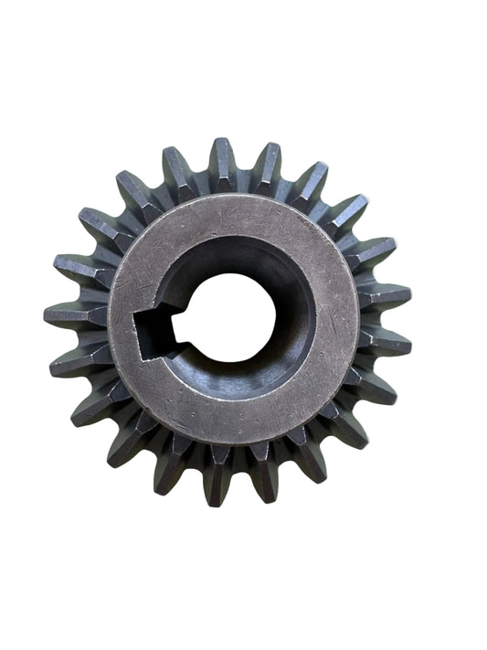 Pinion Cositoare Z21